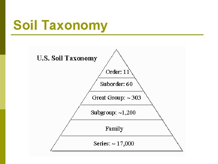 Soil Taxonomy 