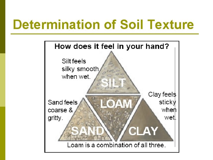 Determination of Soil Texture 