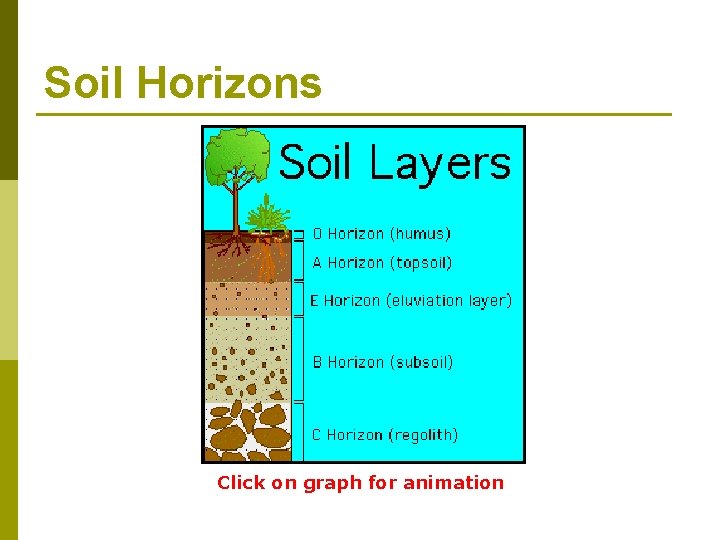 Soil Horizons Click on graph for animation 