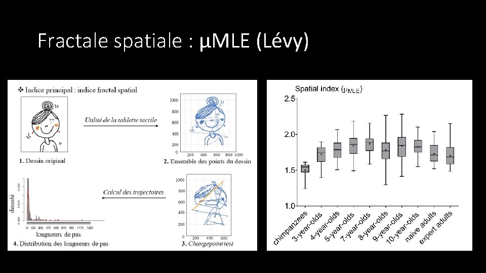 Fractale spatiale : μMLE (Lévy) 