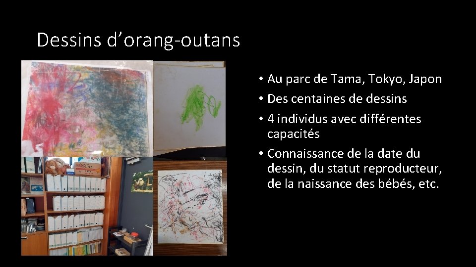 Dessins d’orang-outans • Au parc de Tama, Tokyo, Japon • Des centaines de dessins