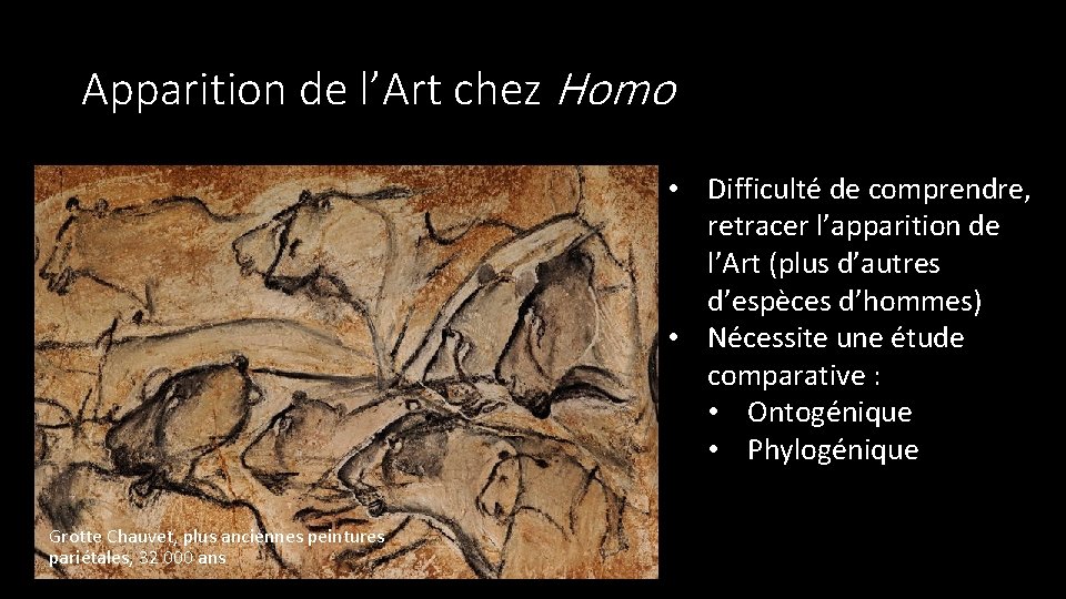 Apparition de l’Art chez Homo • Difficulté de comprendre, retracer l’apparition de l’Art (plus