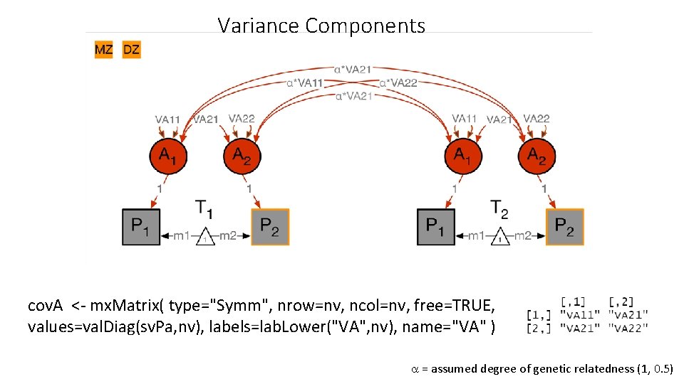 Variance Components cov. A <- mx. Matrix( type="Symm", nrow=nv, ncol=nv, free=TRUE, values=val. Diag(sv. Pa,