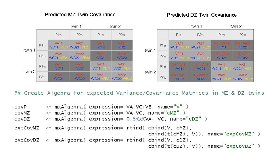 Predicted MZ Twin Covariance Predicted DZ Twin Covariance 