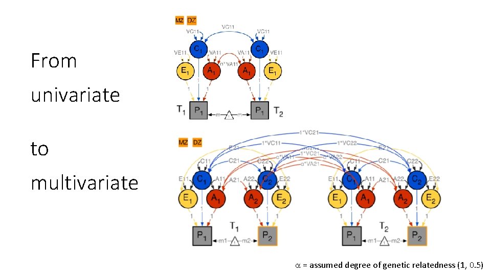 From univariate to multivariate = assumed degree of genetic relatedness (1, 0. 5) 