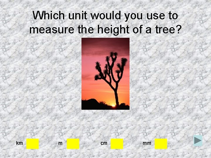Which unit would you use to measure the height of a tree? km m Which unit would you use to measure the height of a tree? km m