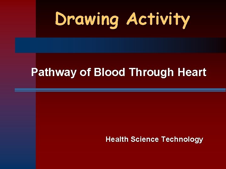 Drawing Activity Pathway of Blood Through Heart Health Science Technology 