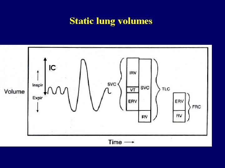 Static lung volumes IC 