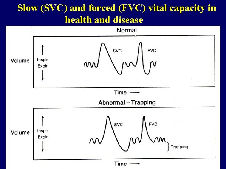 Slow (SVC) and forced (FVC) vital capacity in health and disease 