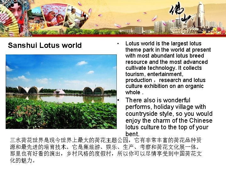 Sanshui Lotus world • Lotus world is the largest lotus theme park in the