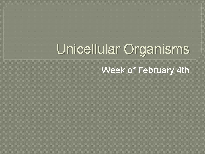 Unicellular Organisms Week of February 4 th 