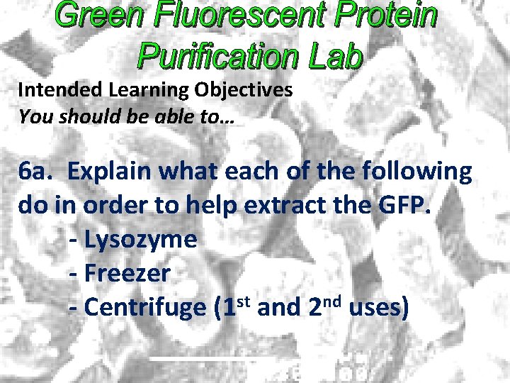 Intended Learning Objectives You should be able to