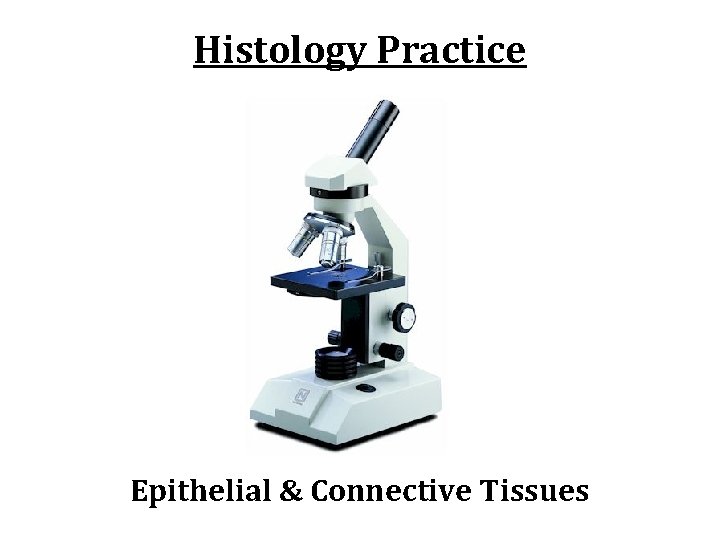 Histology Practice Epithelial & Connective Tissues 