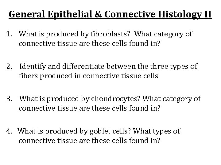 General Epithelial & Connective Histology II 1. What is produced by fibroblasts? What category