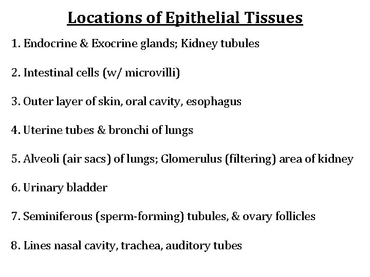 Locations of Epithelial Tissues 1. Endocrine & Exocrine glands; Kidney tubules 2. Intestinal cells