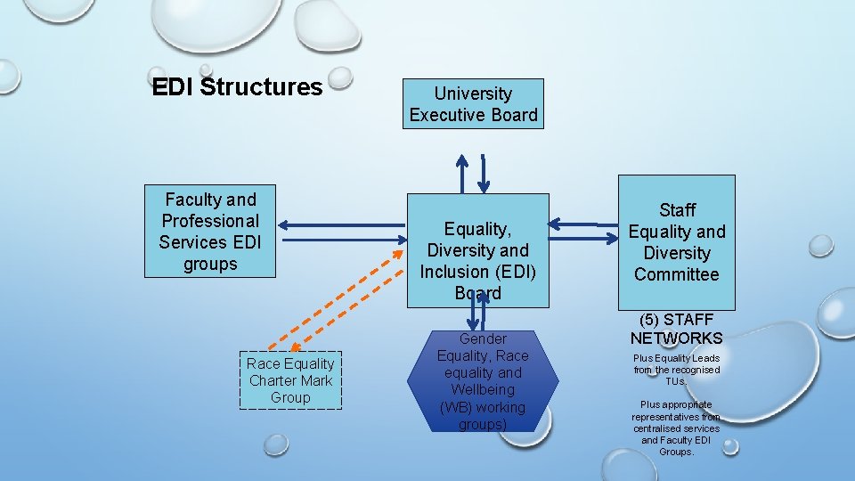 EDI Structures Faculty and Professional Services EDI groups Race Equality Charter Mark Group University