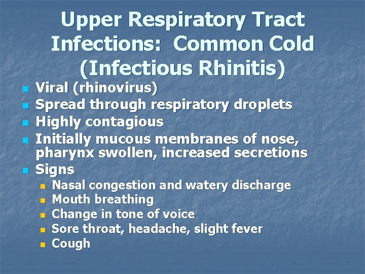 Upper Respiratory Tract Infections: Common Cold (Infectious Rhinitis) n n n Viral (rhinovirus) Spread