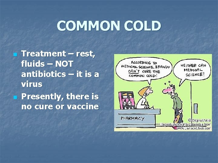 COMMON COLD n n Treatment – rest, fluids – NOT antibiotics – it is