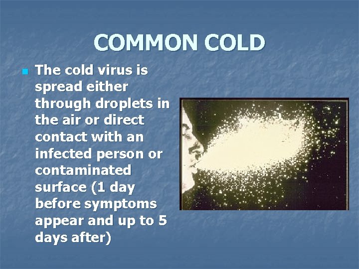 COMMON COLD n The cold virus is spread either through droplets in the air