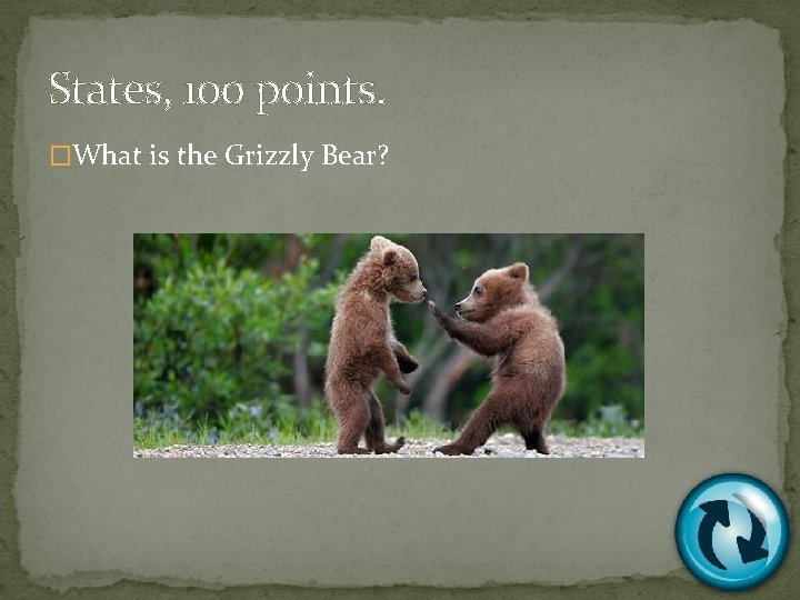 States, 100 points. �What is the Grizzly Bear? 