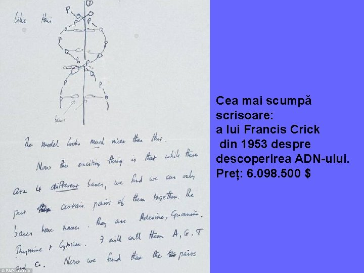 Cea mai scumpă scrisoare: a lui Francis Crick din 1953 despre descoperirea ADN-ului. Preț: