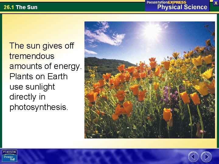 26. 1 The Sun The sun gives off tremendous amounts of energy. Plants on
