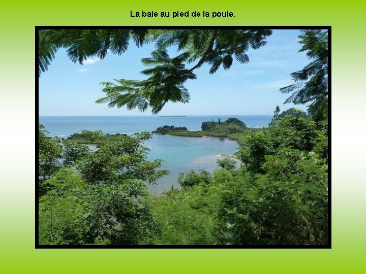 La baie au pied de la poule. 