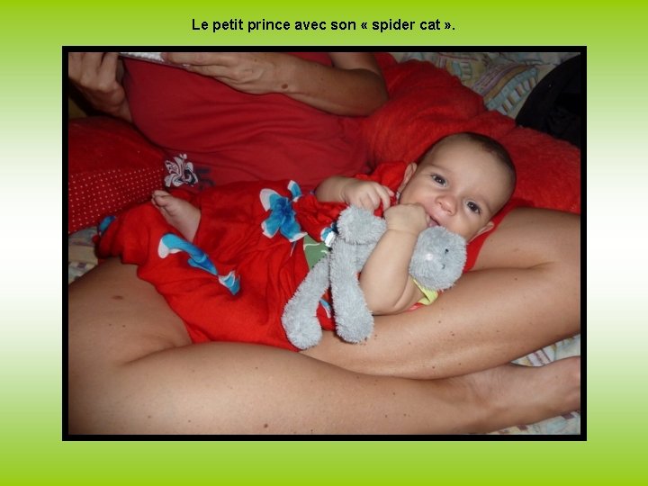 Le petit prince avec son « spider cat » . 