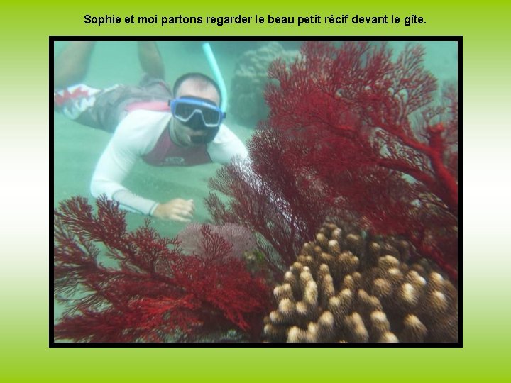 Sophie et moi partons regarder le beau petit récif devant le gîte. 