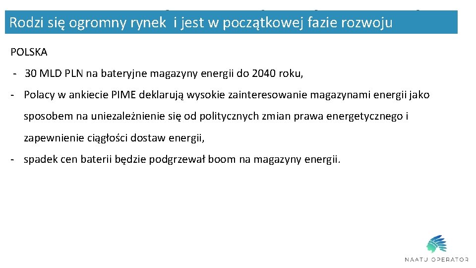 Rodzi się ogromny rynek i jest w początkowej fazie rozwoju POLSKA - 30 MLD