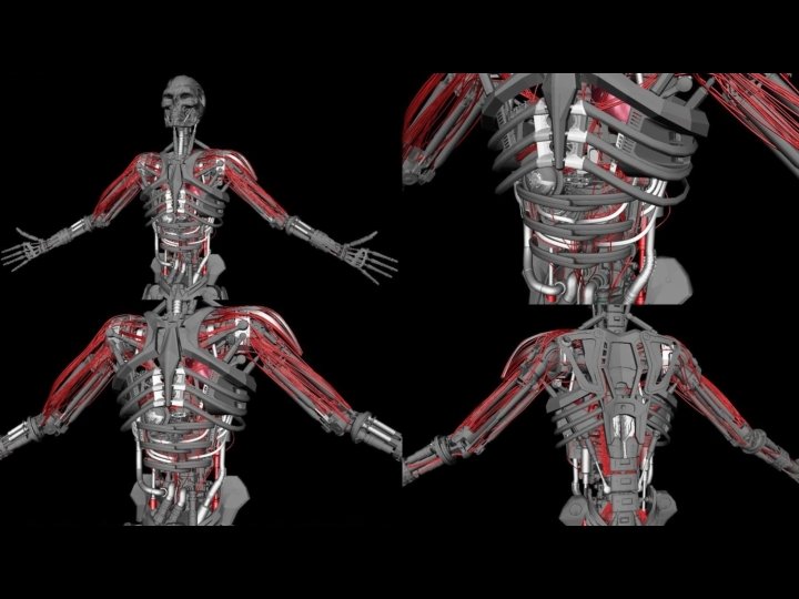Sound of Cyborg Organs Leonel Mendoza What is