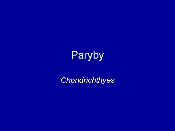 Paryby Chondrichthyes 