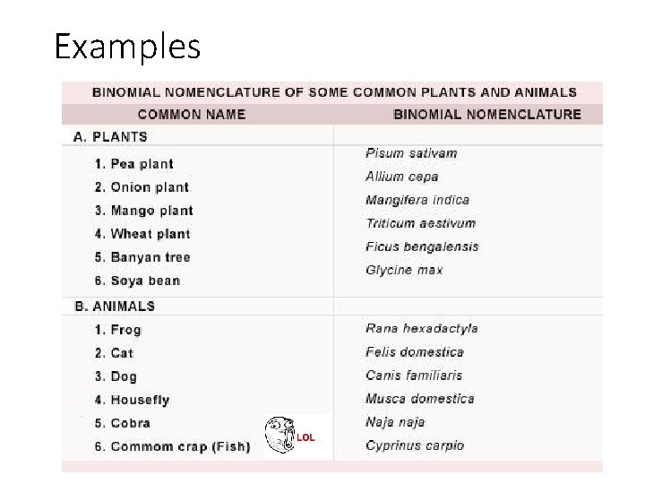 Examples 