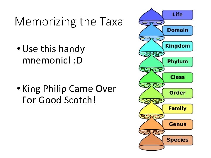 Memorizing the Taxa • Use this handy mnemonic! : D • King Philip Came