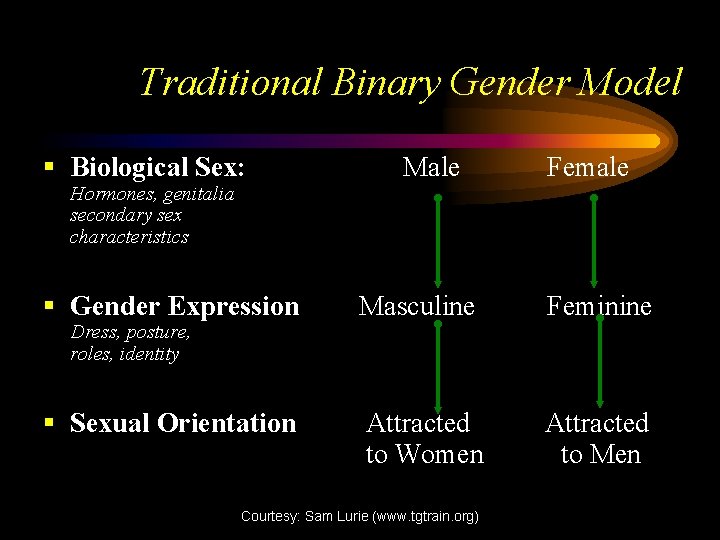 Traditional Binary Gender Model § Biological Sex: Hormones, genitalia secondary sex characteristics Male Female