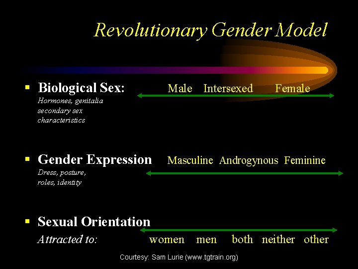 Revolutionary Gender Model § Biological Sex: Male Intersexed Female Hormones, genitalia secondary sex characteristics