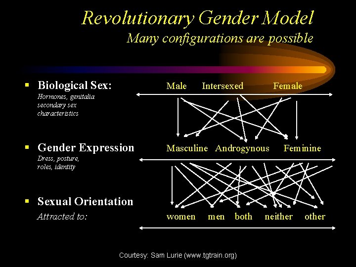 Revolutionary Gender Model Many configurations are possible § Biological Sex: Male Intersexed Female Hormones,