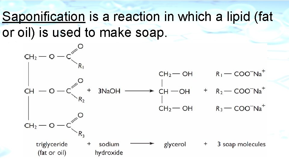 Saponification is a reaction in which a lipid (fat or oil) is used to