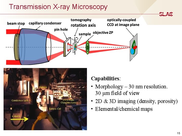 Transmission X-ray Microscopy Capabilities: X-ray Microscopy • Morphology – 30 nm resolution. 30 µm