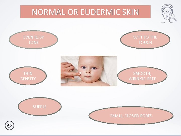 NORMAL OR EUDERMIC SKIN EVEN ROSY TONE THIN DENSITY SOFT TO THE TOUCH SMOOTH,