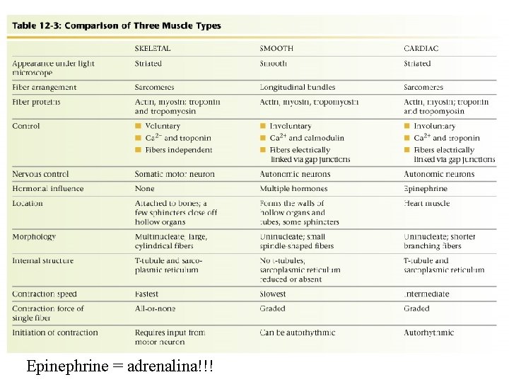 Epinephrine = adrenalina!!! 