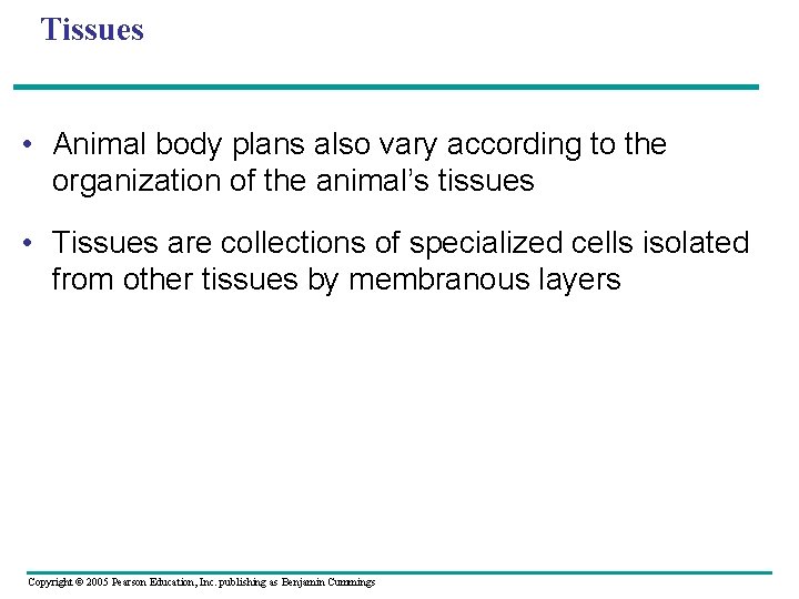 Tissues • Animal body plans also vary according to the organization of the animal’s