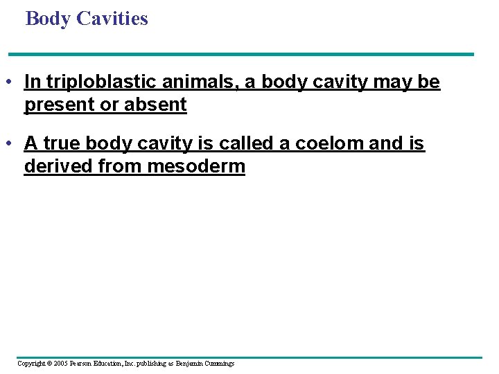 Body Cavities • In triploblastic animals, a body cavity may be present or absent