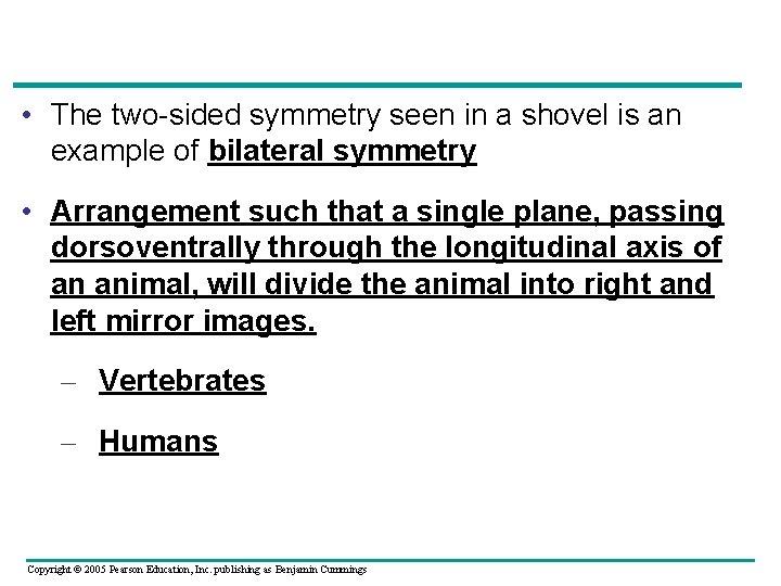  • The two-sided symmetry seen in a shovel is an example of bilateral