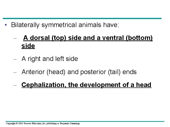  • Bilaterally symmetrical animals have: – A dorsal (top) side and a ventral