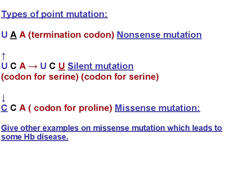 Types of point mutation: U A A (termination codon) Nonsense mutation ↑ U C