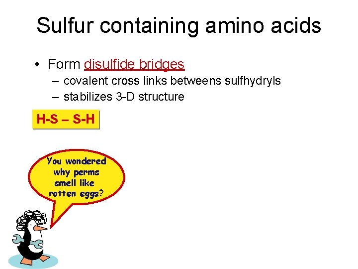 Sulfur containing amino acids • Form disulfide bridges – covalent cross links betweens sulfhydryls