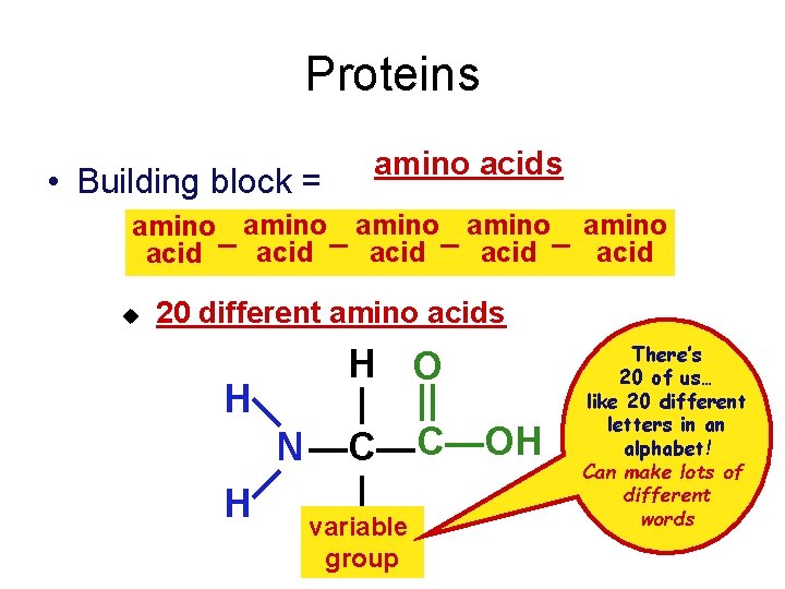 Proteins • Building block = amino acids amino amino acid – acid u 20
