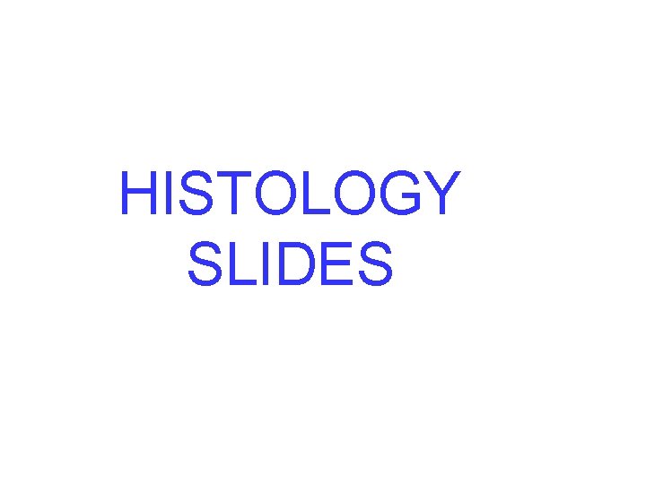 HISTOLOGY SLIDES 