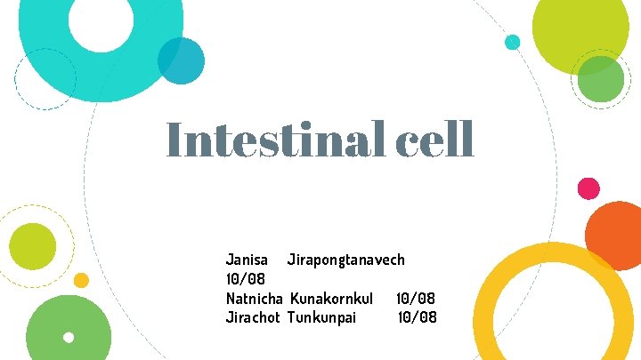 Intestinal cell Janisa Jirapongtanavech 10/08 Natnicha Kunakornkul 10/08 Jirachot Tunkunpai 10/08 